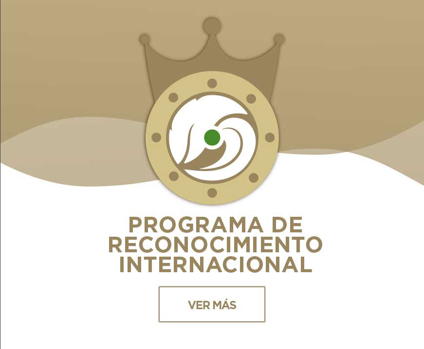 BANNER-IRP-A-01